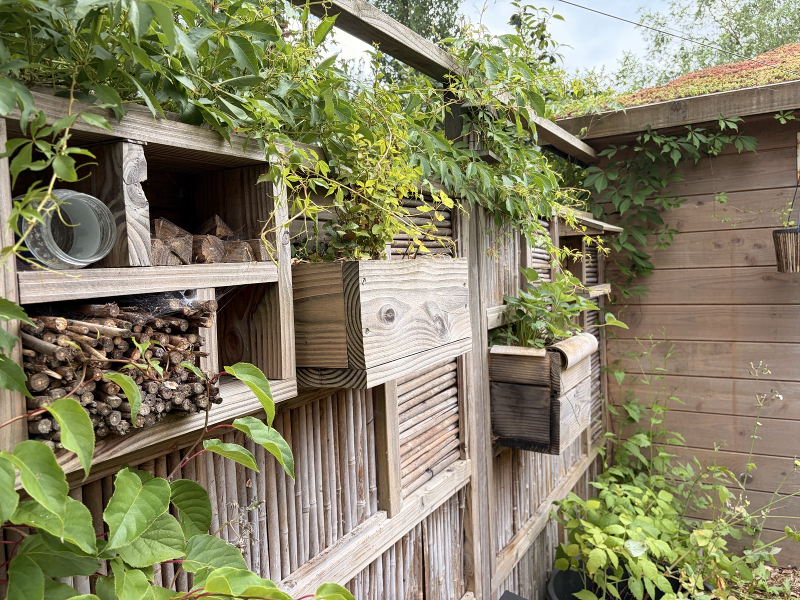 Hout dat weer en wind doorstaat. — foto 4